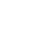 peso icon